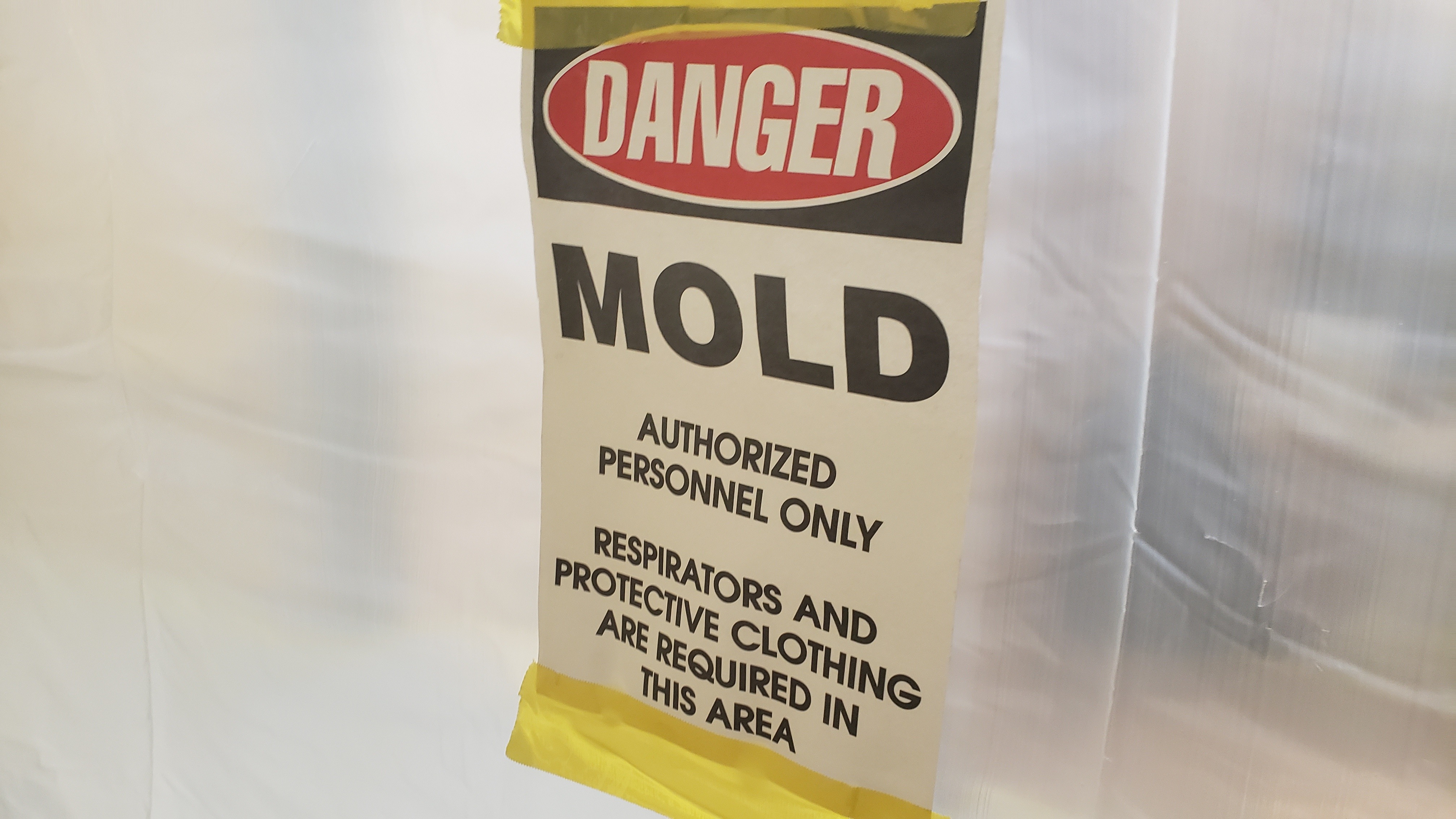 Mold Signs, Symptoms, Remediation &amp; Water Damage Prevention | Occu-Tec